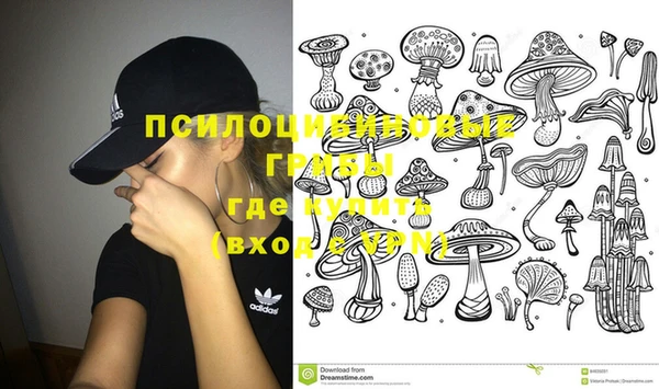 mix Гусев